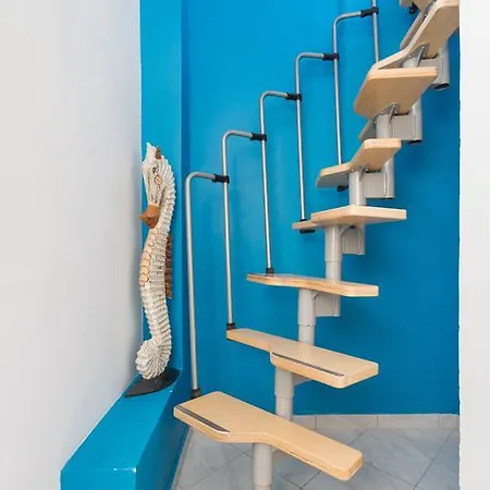 Apartman Hippocampus Mimice